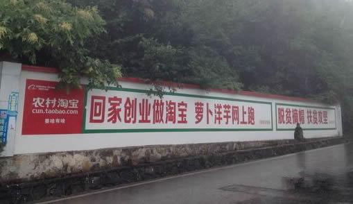 农村这个大市场，真如电商所说的一片蓝海吗？